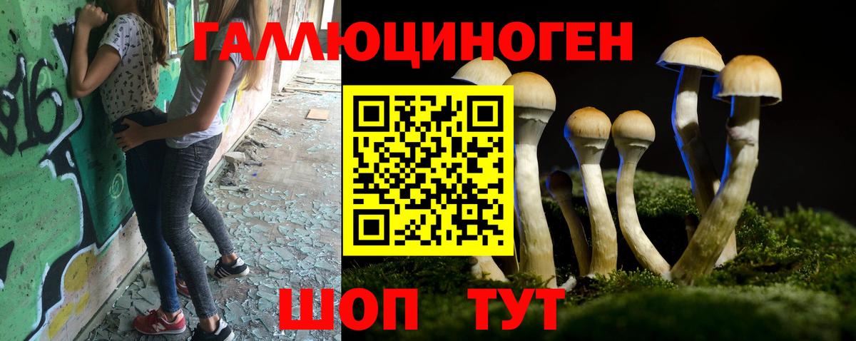 Псилоцибиновые грибы GOLDEN TEACHER  Псилоцибиновые грибы MAGIC MUSHROOMS  Берёзовский 