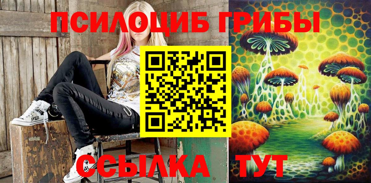Псилоцибиновые грибы ЛСД  где купить наркоту  Берёзовский  Вход с VPN 