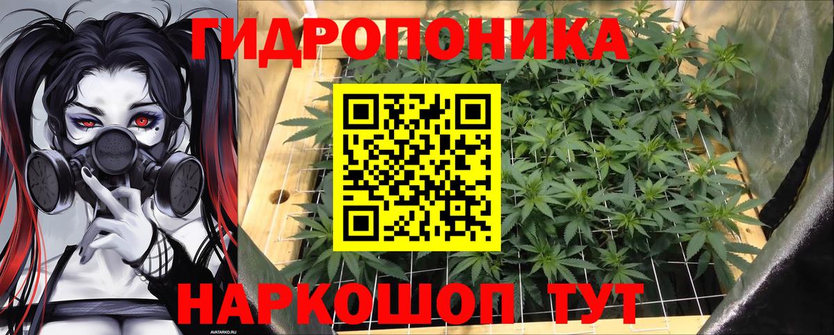 Бошки марихуана сатива  Канабис тримм  Шишки марихуана семена  МАРИХУАНА White Widow  Берёзовский 